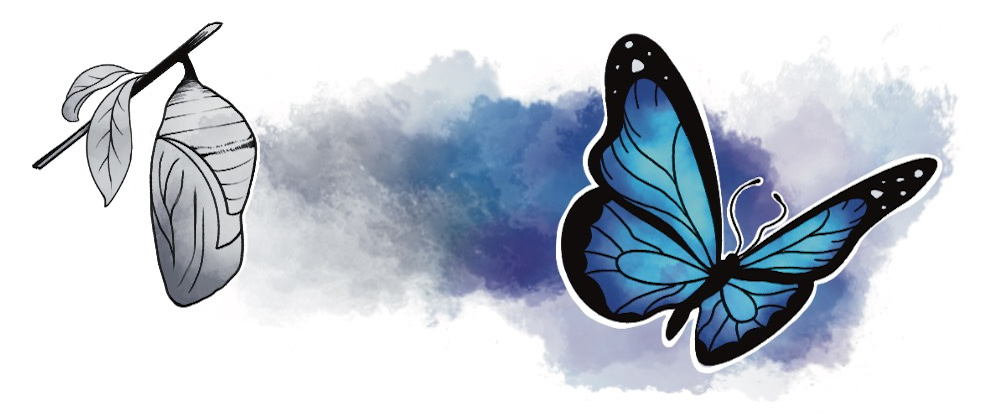Anita Berube: Financial Coach